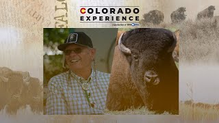 Colorado Experience | Return of the Buffalo, Part 1