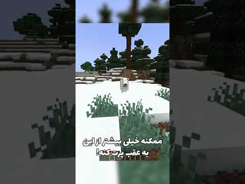 تمام چیز هایی که درمورد ماب بز باید بدونین