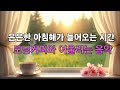 🎵 모닝커피와 잘 어울리는 음악ㅣ은은한 아침해가 들어오는 시간ㅣ커피마실 때 듣는 음악