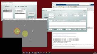 TS tutorial 5 - reaction time analysis