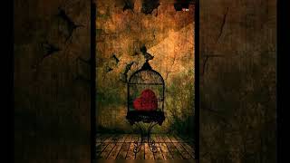 Dushman Na Kare Dost Ne Wo    Aakhir Kyun 1985 Lata Mangeshkar U0026 Amit Kumar