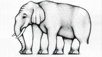 this is not an elephant