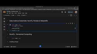 IU AI Course, Session 2: Data Science Libraries