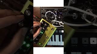 THIN ECHOING MELANCHOLY #eurorack #synth #modularsynth #electronicmusic #sounddesign #synthesizer