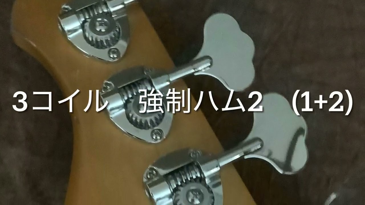 即納可能】T.S factory 151A-MO EB (Vintage Gold) 広島店 - 【ESP直営