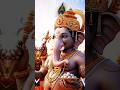 Om Gan Ganapataye |Ganesh Mantra 🙏❤️🙏#ganesh #shorts #stratus #ganeshmantra