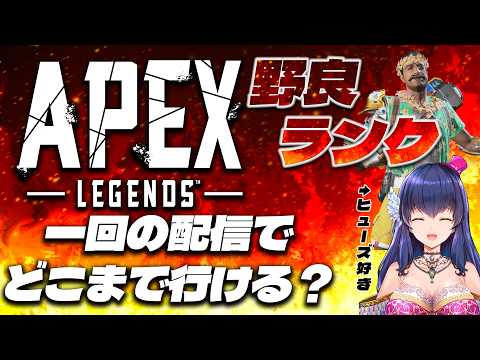 【 APEX /野良ランク】ブロンズ3から1配信でどこまでいけるかな？ 【#apexlegends  】