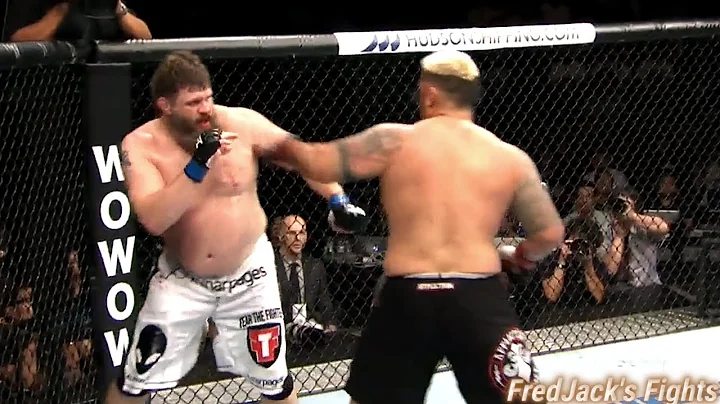 Mark Hunt vs Roy Nelson Highlights (KNOCKOUT of Th...
