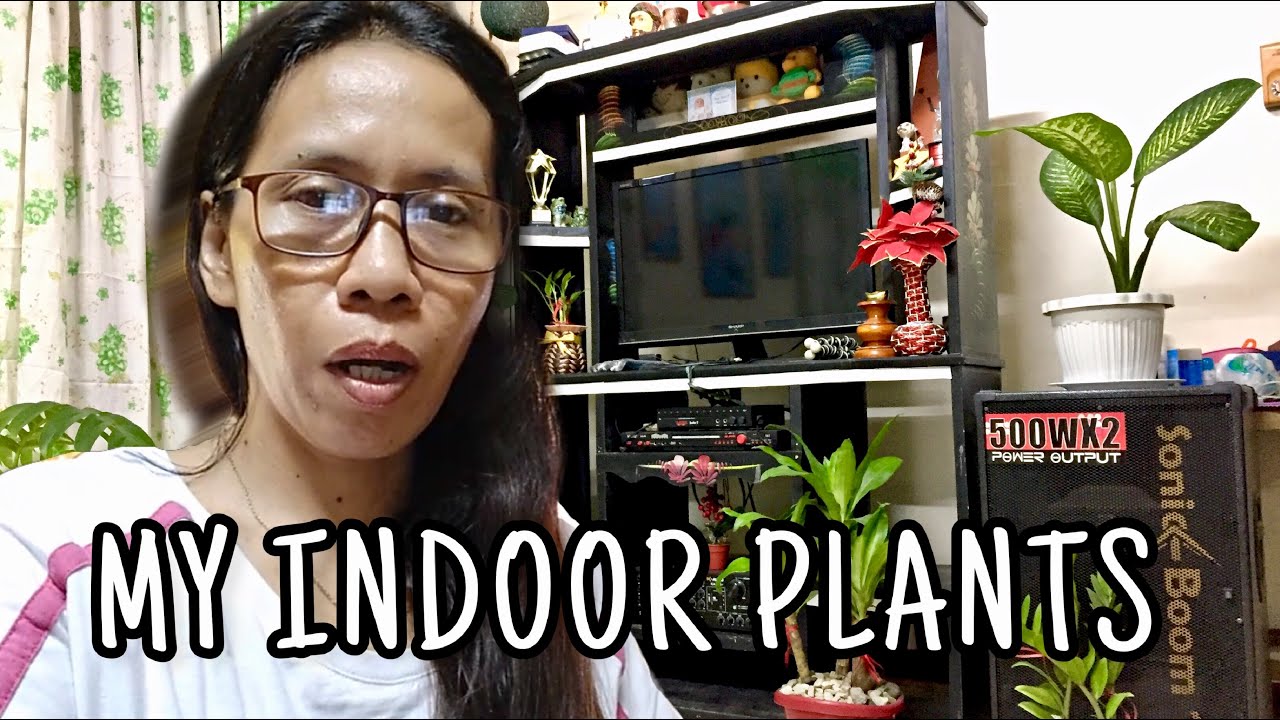 MY INDOOR PLANTS | VLOG 1