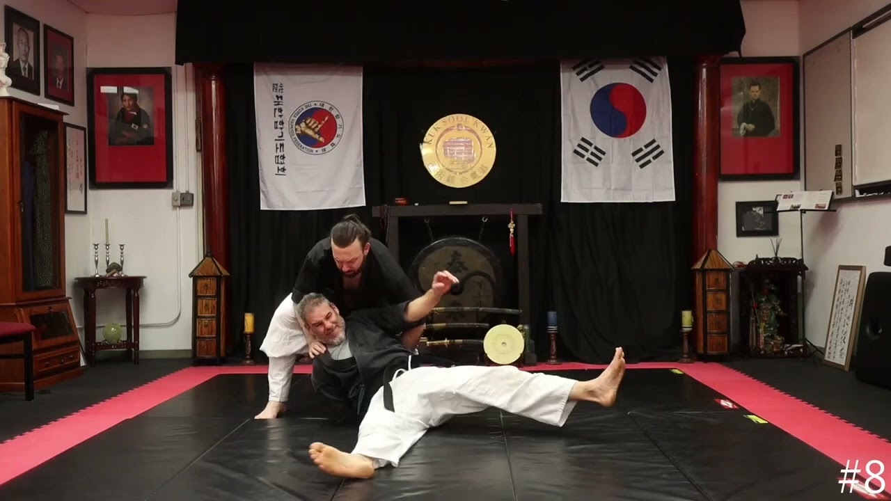 Kuk Sool Kwan Hapkido montage