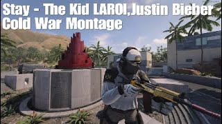 Stay - Cold War Montage | Goodbye Cold War, Hello Vanguard | #CDL #f3f3 #FearTheMyst