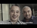 TALES SEASON：Season, Asia's Dog Whisperer