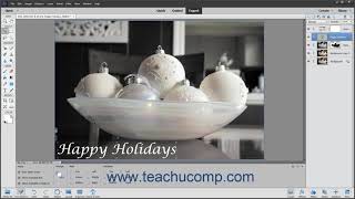 Photoshop Elements 2021 Tutorial Bitmap Images Adobe Training