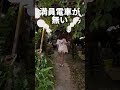 沖縄になんとなく40泊する女🌺🏝 #沖縄旅行 #沖縄移住 #沖縄生活 #沖縄移住生活 #旅するように暮らす