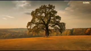 AiDOMAS - Teka laikas