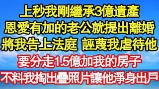 上秒我剛繼承3億遺產恩愛有加的老公就提出離婚將我告上法庭  誣蔑我虐待他要分走1.5億加我的房子不料我掏出疊照片讓他淨身出戶 真情故事會||老年故事||情感需求||愛情||家庭