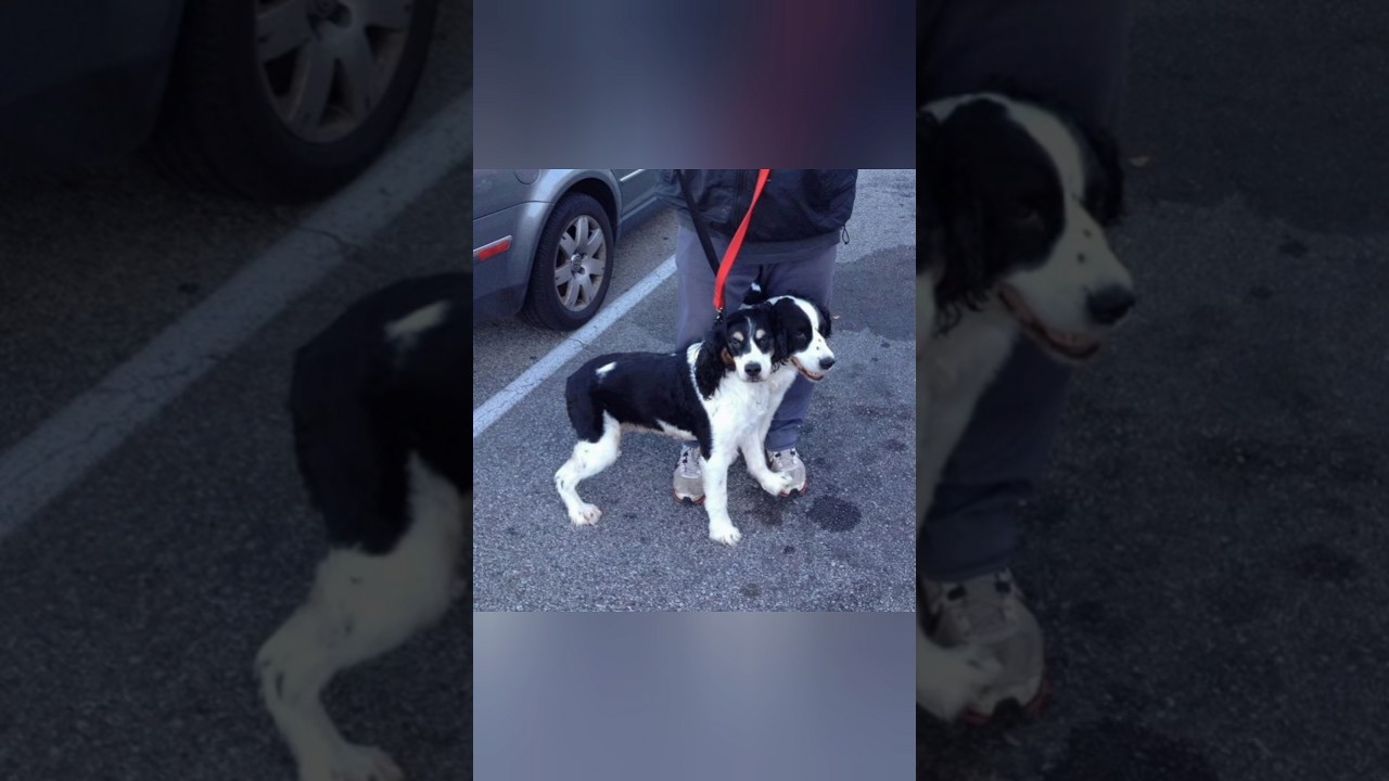 confusing photos that will make you look twice 