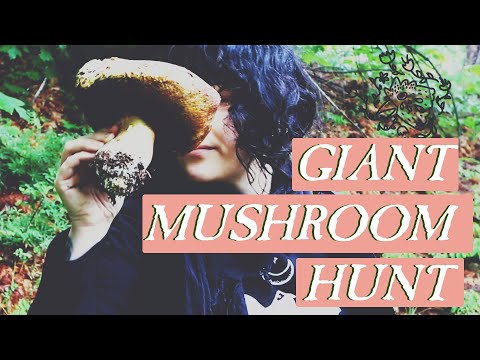 Giant Spring Mushroom Hunt - Pacific Northwest Mushroom Hunt