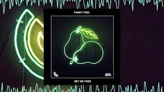 Funky Fool - Set Me Free 🍉