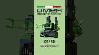 Grapple saw GS250 OMEF | Compact power for mini excavators