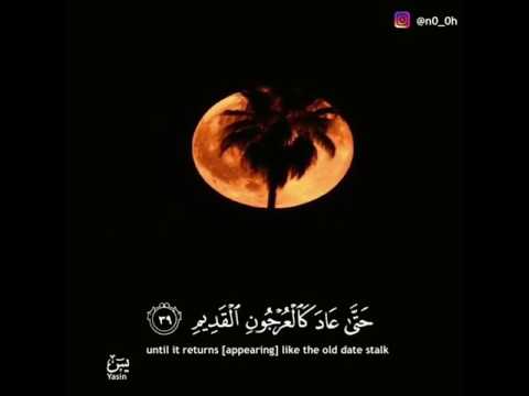 صوت فوق الرائع للقارئ الشيخ حاتم المالكي