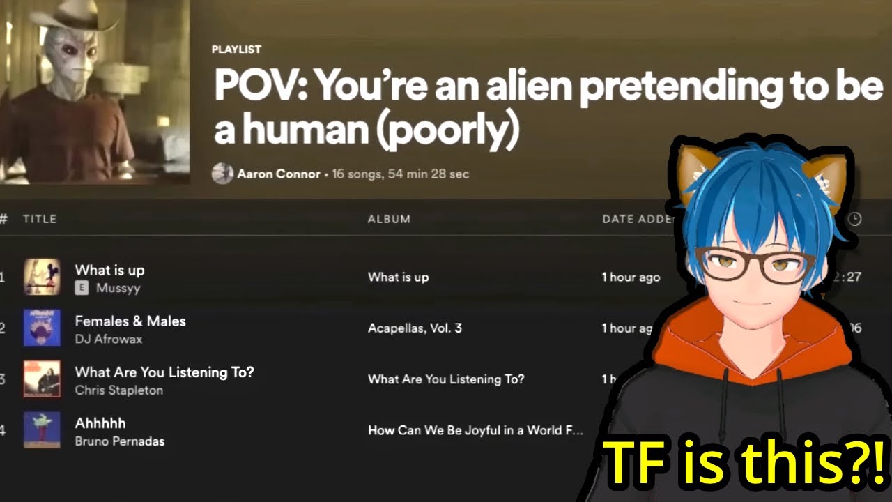 Spotify Playlists that form funny little stories | Matt Rose React