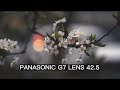 Panasonic G7 with 42.5mm f1.7 handheld Cinematic  test Vladivostok