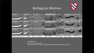 Biological Motion | Janina Wellmann || Radcliffe Institute