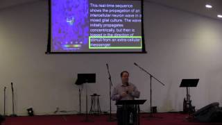 2014 10 26 Generational Curses & Iniquity