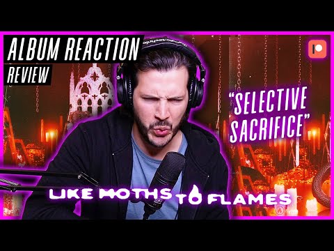 Like Moths To Flames "Selective Sacrifice" - "No Eternity In Gold" ALBUM REACTION / REVIEW
