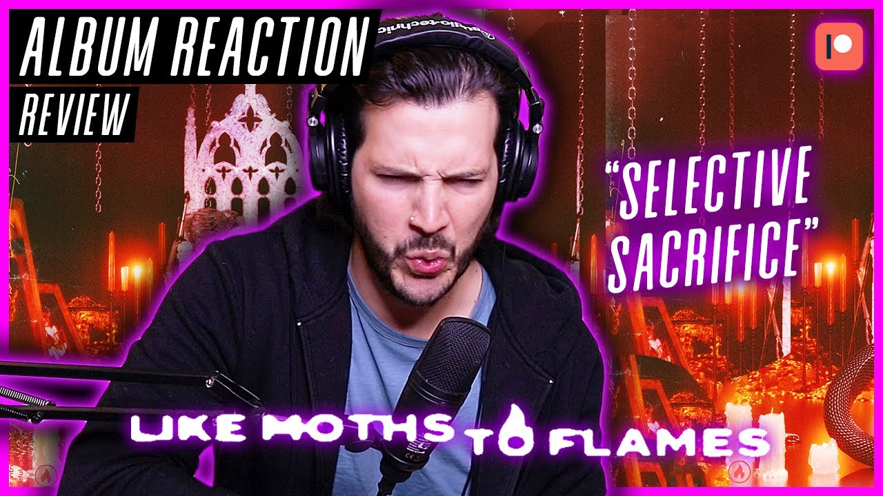 Like Moths To Flames "Selective Sacrifice" - "No Eternity In Gold" ALBUM REACTION / REVIEW