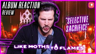 Like Moths To Flames 'Selective Sacrifice' - 'No Eternity In Gold' ALBUM REACTION / REVIEW