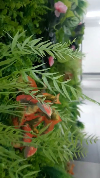 Singapore Safety Driving Center || SSDC