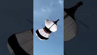 Download Lagu Layangan Kuwir Mengudara #layang #layangan #layanglayang #kite #kitechannel #shorts MP3