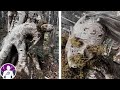 El Extraño Hombre Atrapado En Un Árbol - Compilación De Terror #1