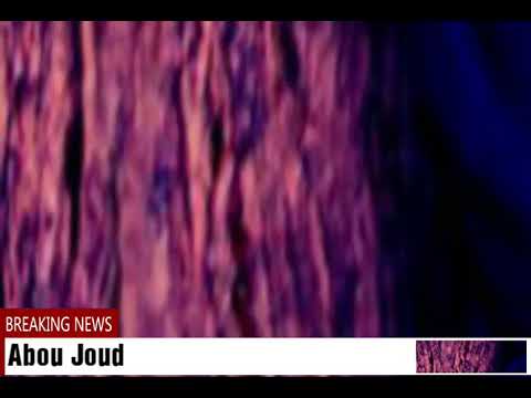 صوتي مكتوم اغنية لفلسطين