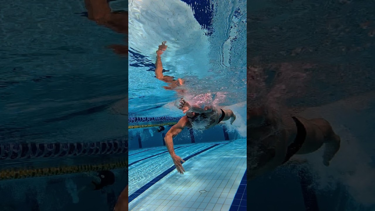 What does your usual swim session look like?