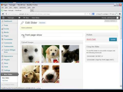 How to add a new Nivo Slider slide show in Word Press