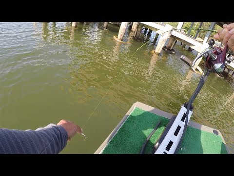 How To Shoot