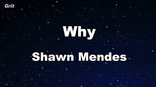 Why - Shawn Mendes Karaoke 【No Guide Melody】 Instrumental