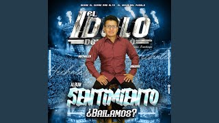 El pajarillo