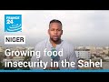 Growing food insecurity in West and Central Africa amid political instability • FRANCE 24 English