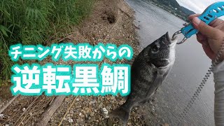 【奥浜名湖の黒鯛釣り】チニング失敗からの逆転黒鯛
