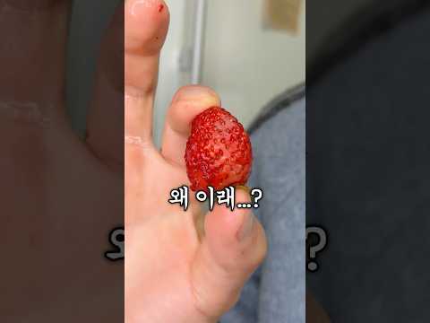 논란의 딸기주물럭 만들어먹기🍓 thumbnail