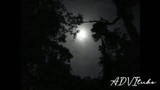 SUARA JANGKRIK DAN BELALANG KERIK DIMALAM HARI | RELAX MUSIC | COCOK BUAT INSOMNIA