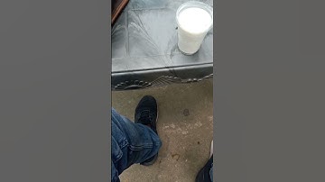 rajputana short status video ###rajput status