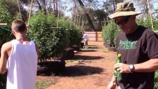 Bigley Ranches Outdoor Organic vs Indoor