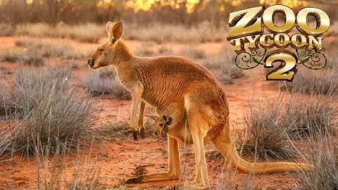 Zoo Tycoon 2: Red Kangaroo Exhibit Speed Build