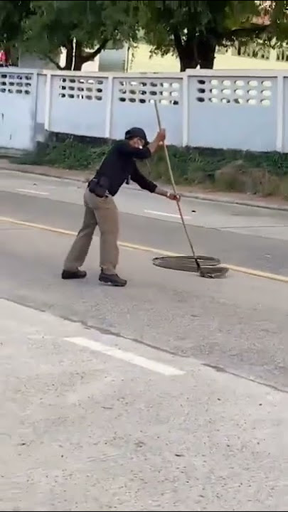 Cara menangkap Ular cobra