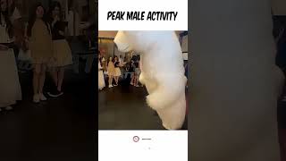 Epic Comedy Compilation 😂 Funniest Moments Ever #shorts #wow #memes #comedy #fyp